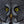 Golden owl eyes framed by finely patterned facial feathers