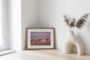 Layered canyon cliffs and sparse desert grasses beneath a pastel sky