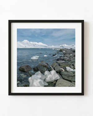 Penguins on a rocky Antarctic shore with ice and snowy mountains