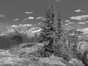 Rocky Mountain landscape with conifers and a broad alpine valley