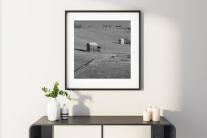 Square monochrome photograph of Romanian farmland and rustic sheds