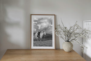 Lone saddled horse standing on rocky ground above rolling mountains