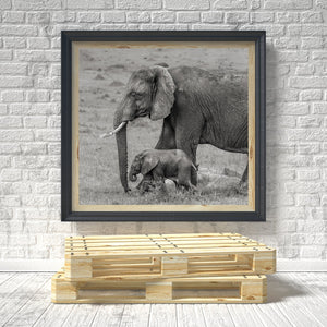 Mother elephant accompanying her calf across Serengeti grassland