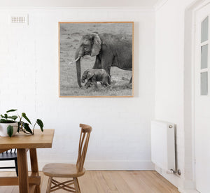 Black and white wildlife photograph of an elephant family pair