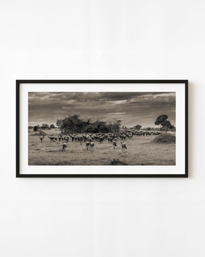 Serengeti wildebeest herd beneath heavy clouds in sepia