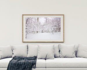 Heller Winterwald mit dunklen Zweigen und dickem Neuschnee