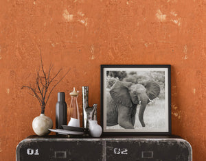 Majestueuze olifant in het wild