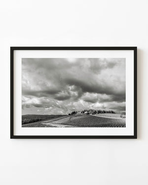Tuscan vineyard rows beneath dramatic storm clouds in black and white.
