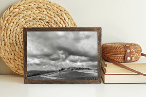 Black and white landscape with curved vine rows and a vast cloudy sky.