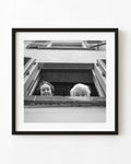 Image for Zwei Frauen an einem toskanischen Fenster Schwarz-Weiß-Straßenfotografie