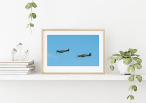 Historic RAF aircraft pair photographed in flight over Ayr.
