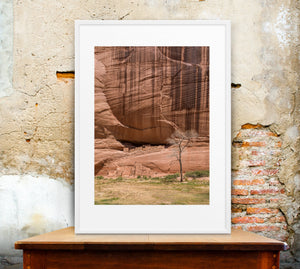 Ancestral stone dwellings sheltered beneath a tall canyon cliff