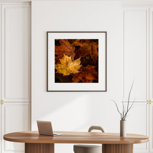 Friedliche Herbstlaubfotografie