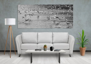 Zwerm drieteenmeeuwen | Foto Kunstprint Fine Art fotografische afdruk