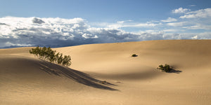 Woestijnzandduinen in Californië laat in de middag | Foto Kunstprint Fine Art fotografische afdruk