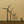 A row of wind turbines recedes across a Canadian landscape in warm golden light.