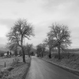 Leafless roadside trees frame a narrow rural lane beneath a pale cloudy sky.