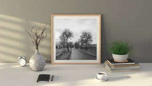 Black and white landscape photograph of an empty Czech road curving through open countryside.