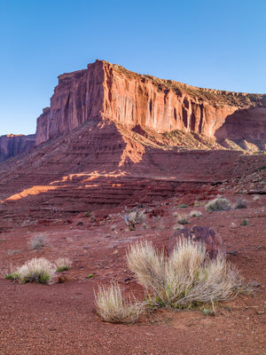 Fini rami del deserto su terreno rosso sotto un'alta scarpata rocciosa a sud-ovest.