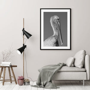 Fine feathers and textured skin surround a pelican’s dark eye.