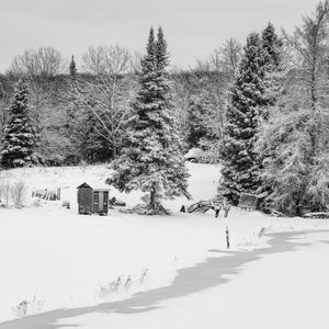 Snow-laden evergreens rise above a weathered fishing hut and winter field