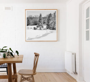 A square monochrome photograph captures a quiet snowy Haliburton landscape