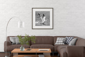 White gannet with dark wingtips splashing onto ocean water
