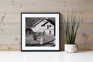 Black and white rural scene with a man crossing sunlit grass
