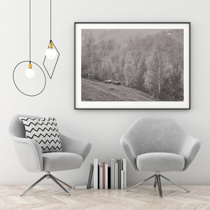 Monochrome Romanian countryside with sheep and a distant hillside house