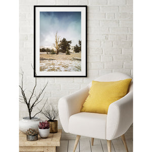 Oude Bristlecone-boom in de Witte Bergen | Foto Kunstprint Fine Art fotografische afdruk